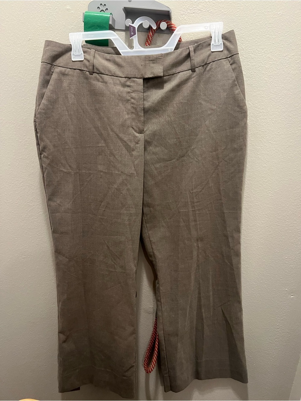 Classic Women's Business Pants in Gray